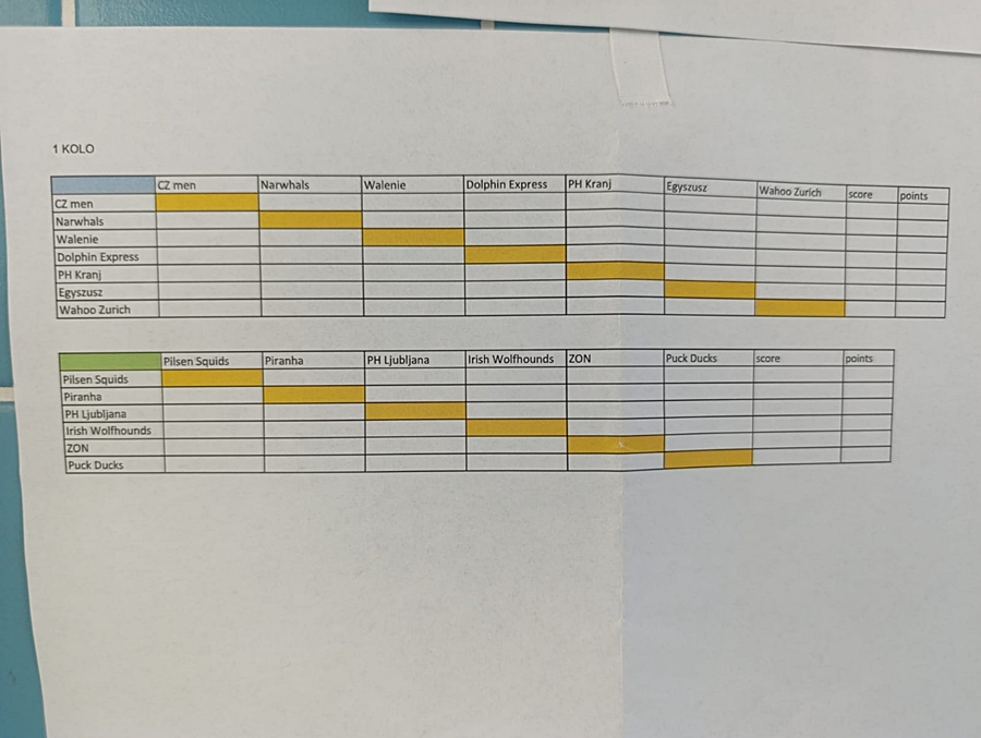 Hokej pod wodą Walenie Czeskie Budziejowice Bud Pig Cup 2025